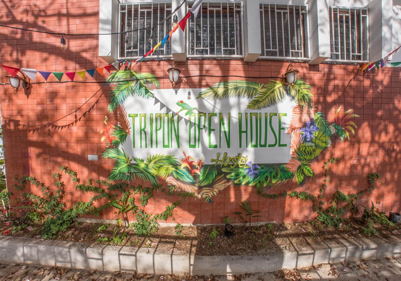 Hostel Tripon Open House San José Zewnętrze zdjęcie