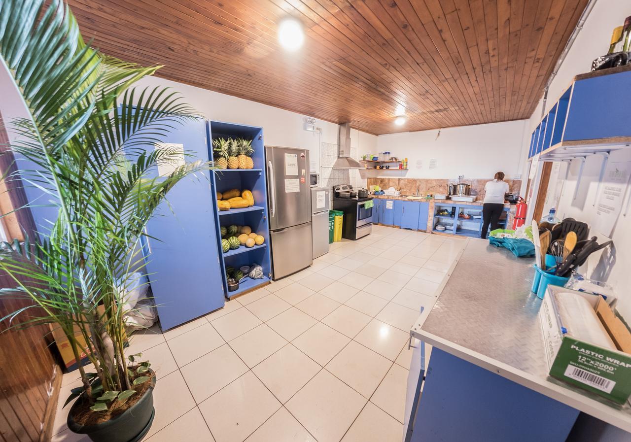 Hostel Tripon Open House San José Zewnętrze zdjęcie