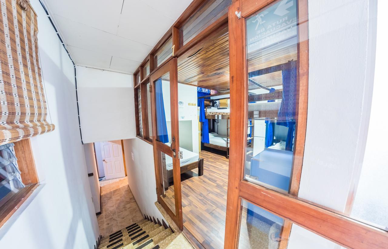 Hostel Tripon Open House San José Zewnętrze zdjęcie